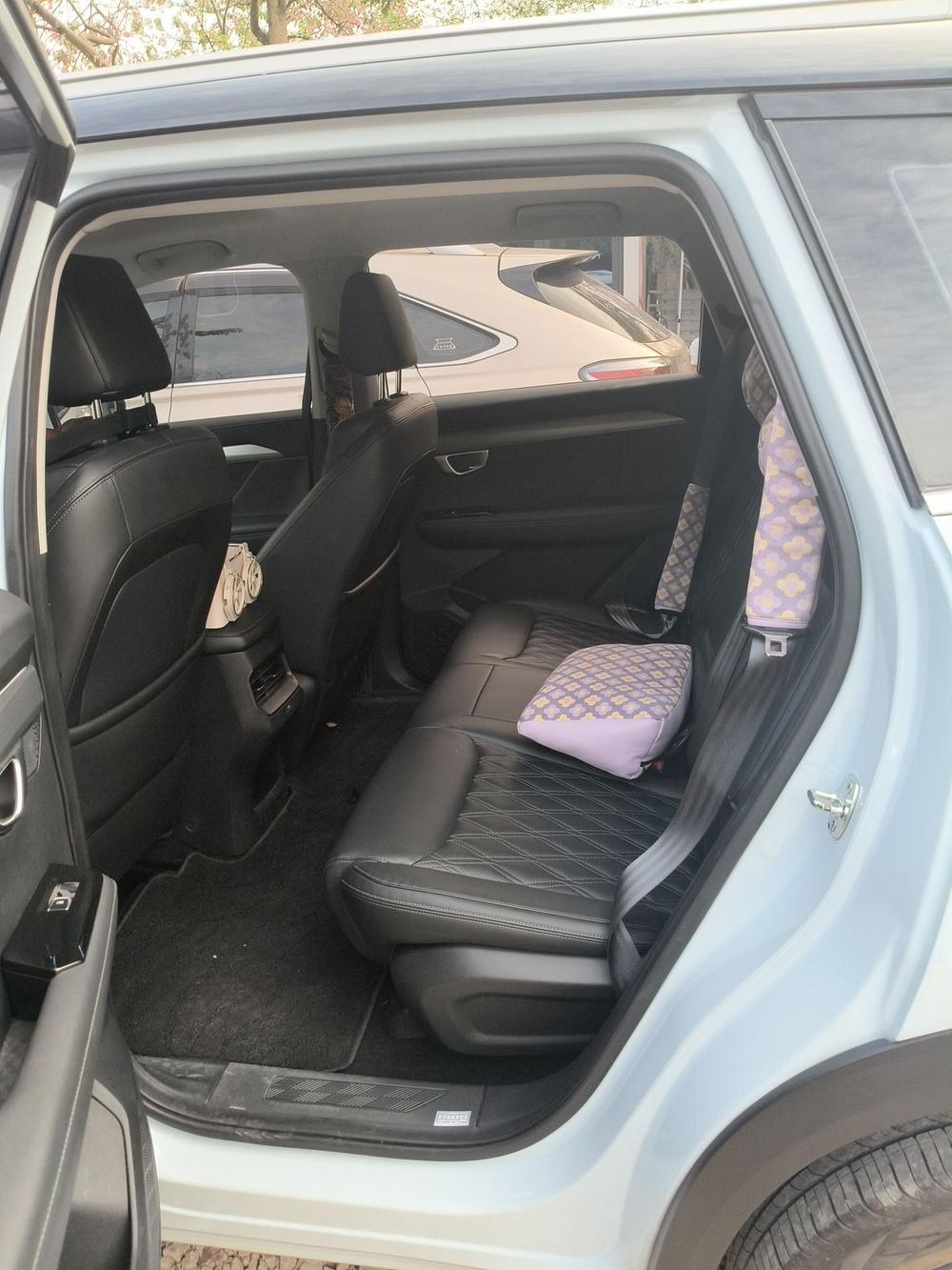 Wuling Wuling Asta