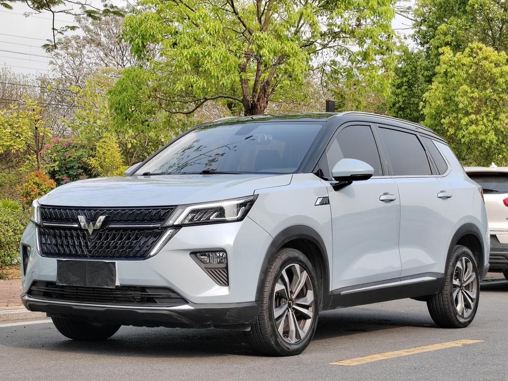 Wuling Wuling Asta