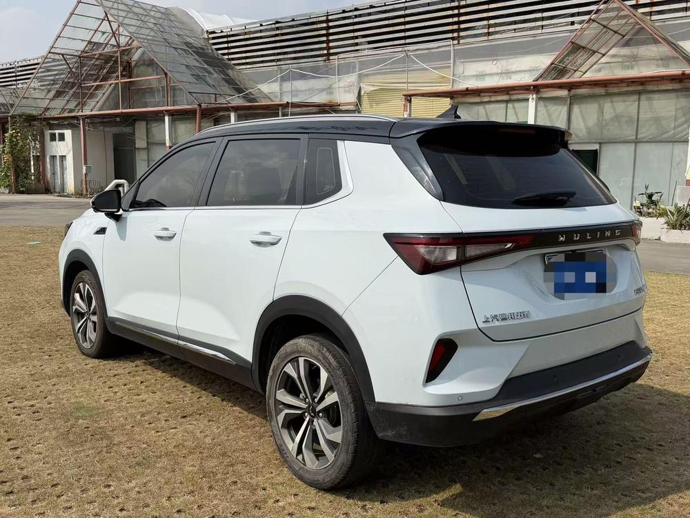 Wuling Wuling Asta
