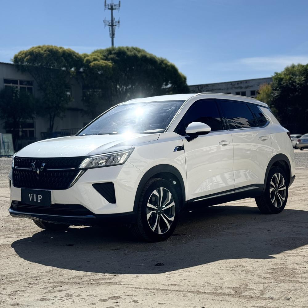 Wuling Wuling Asta