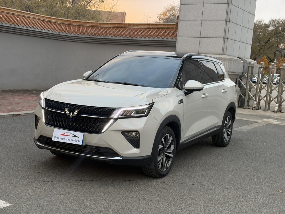 Wuling Wuling Asta