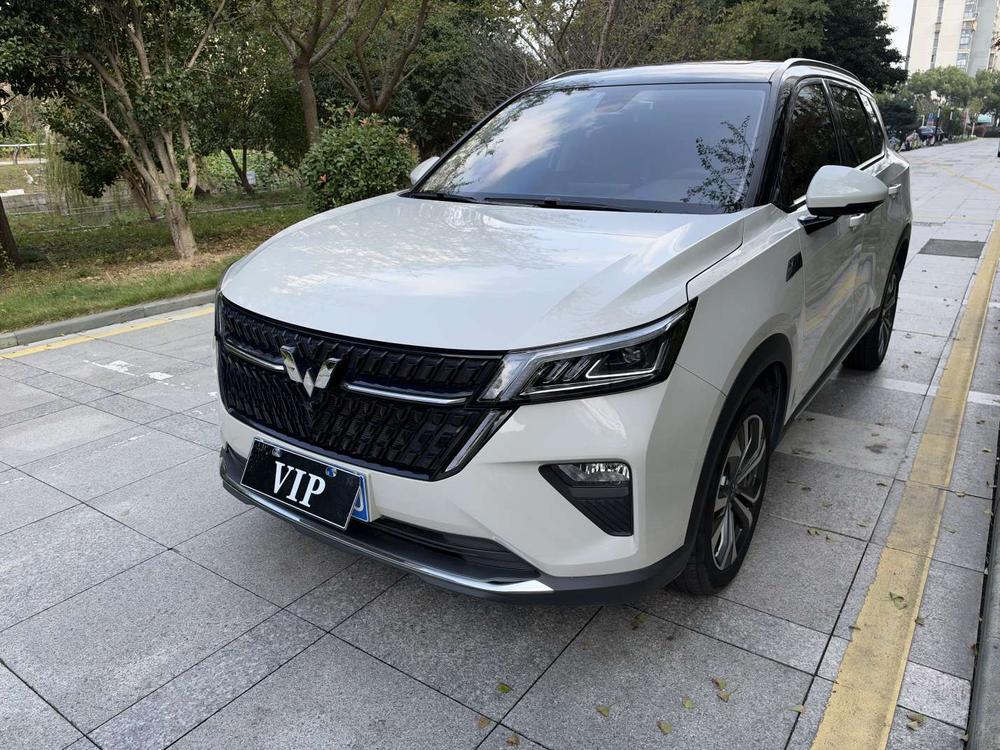 Wuling Wuling Asta