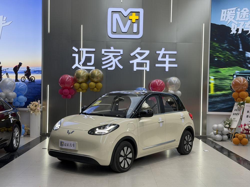 Wuling Wuling Bingo
