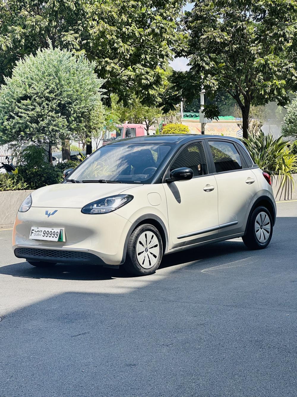 Wuling Wuling Bingo