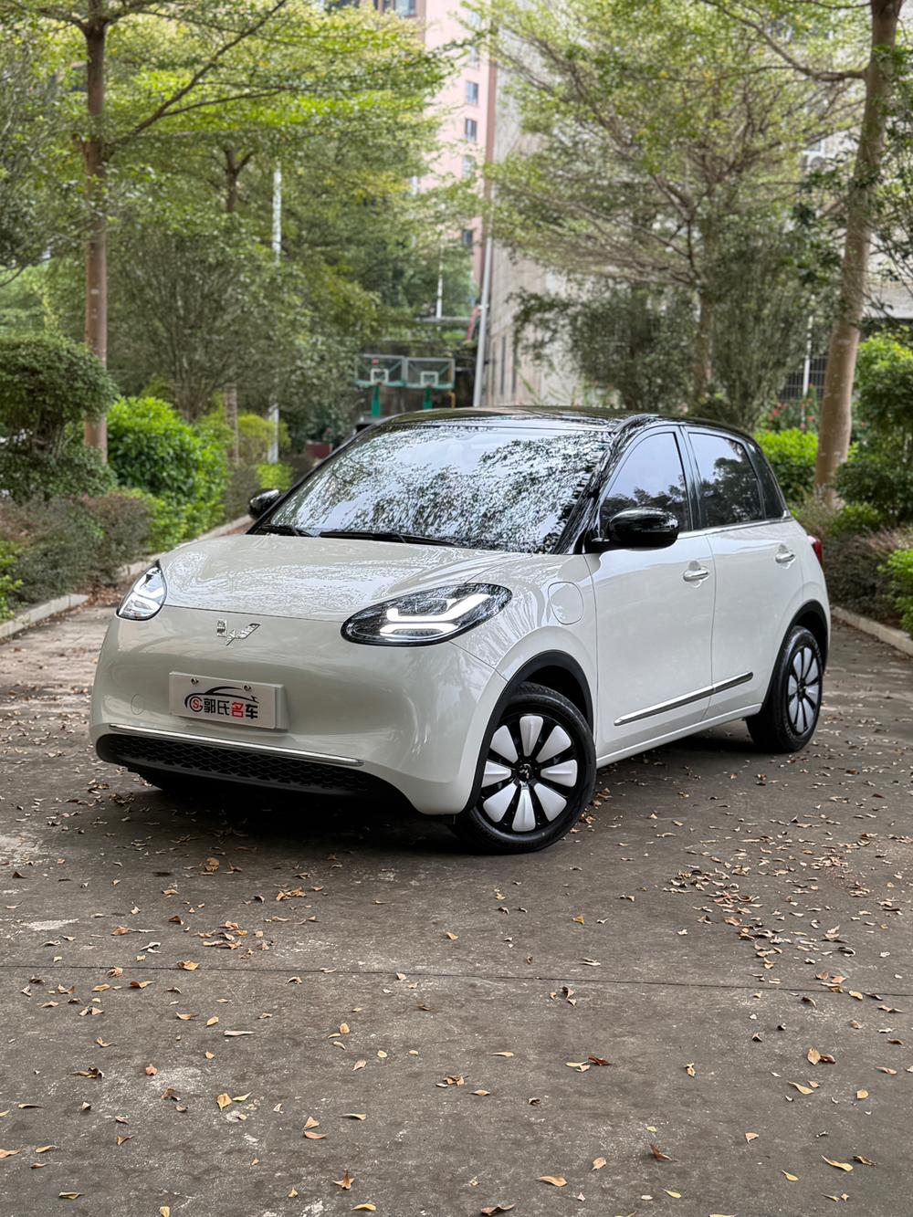 Wuling Wuling Bingo