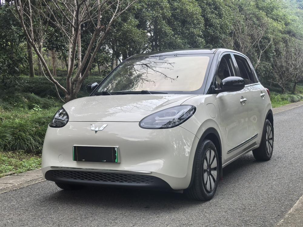 Wuling Wuling Bingo