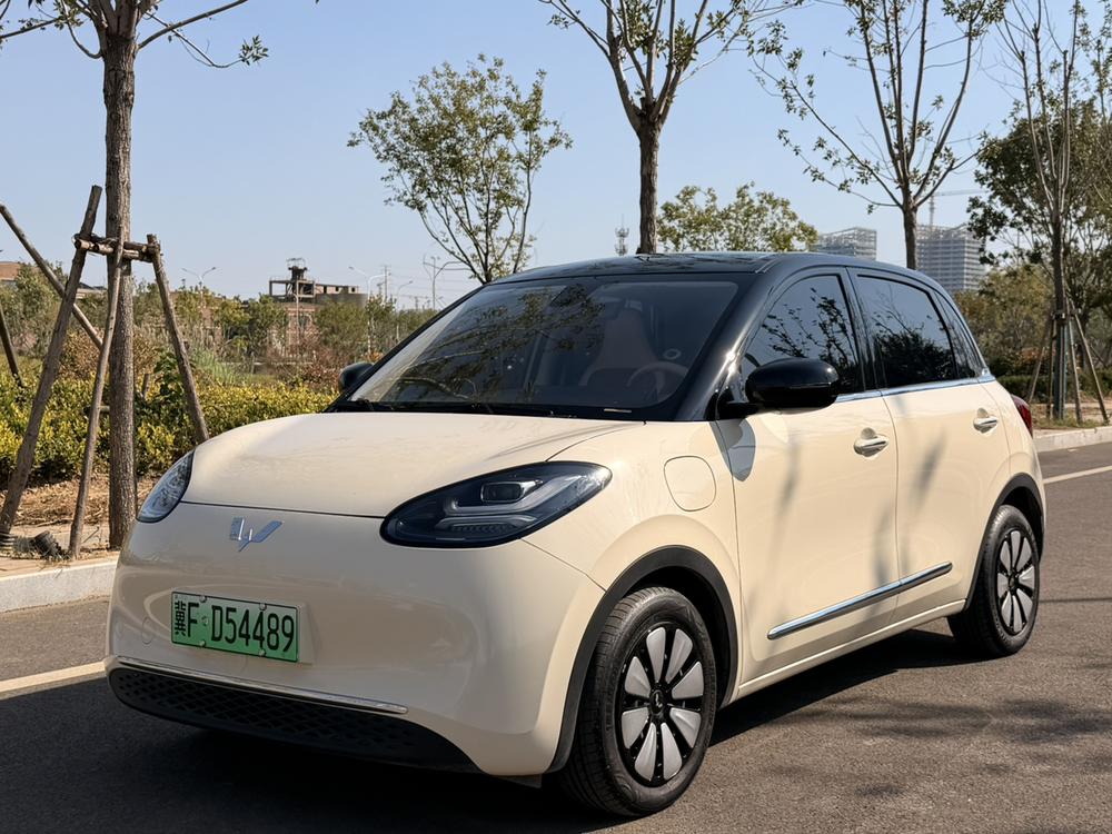Wuling Wuling Bingo