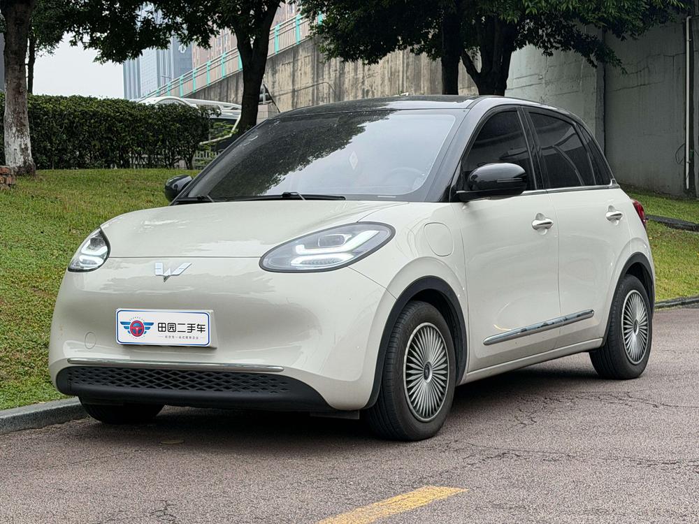 Wuling Wuling Bingo