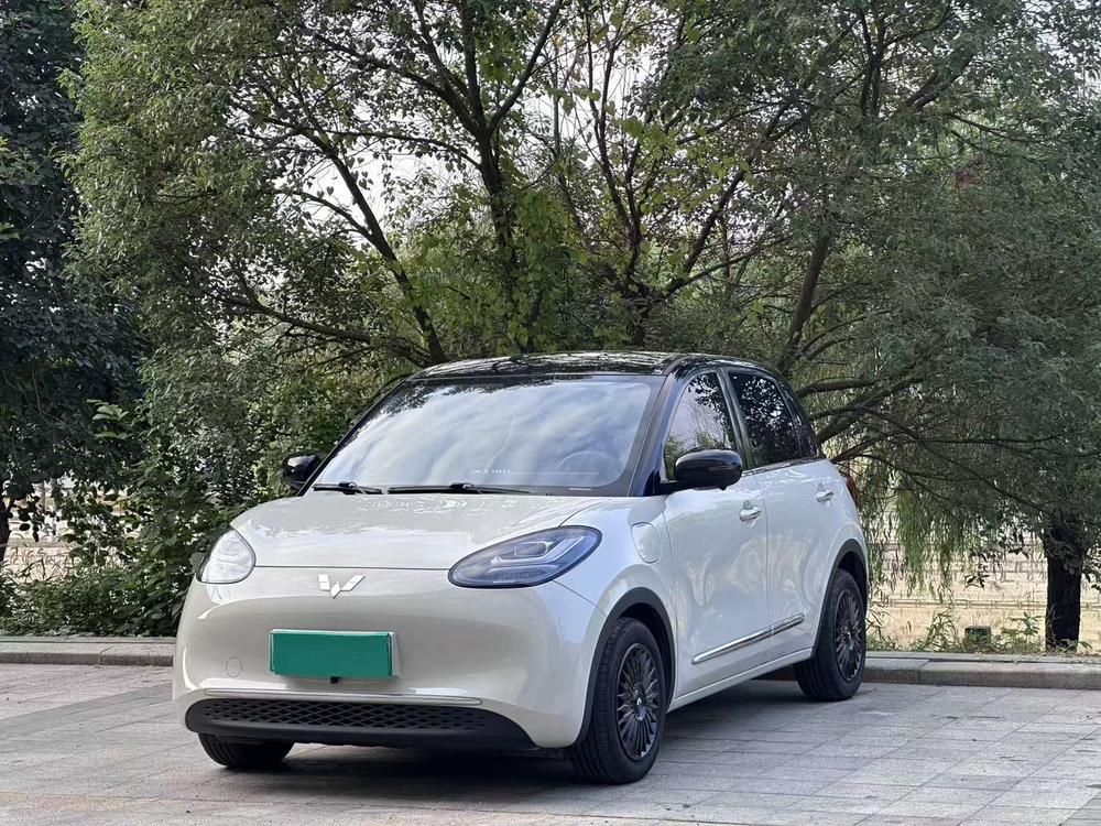 Wuling Wuling Bingo