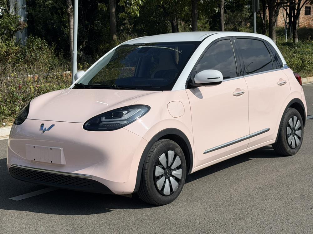 Wuling Wuling Bingo