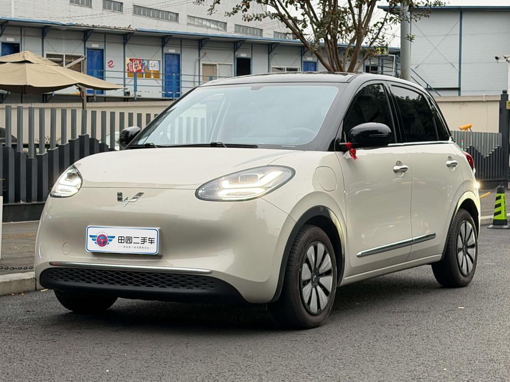 Wuling Wuling Bingo