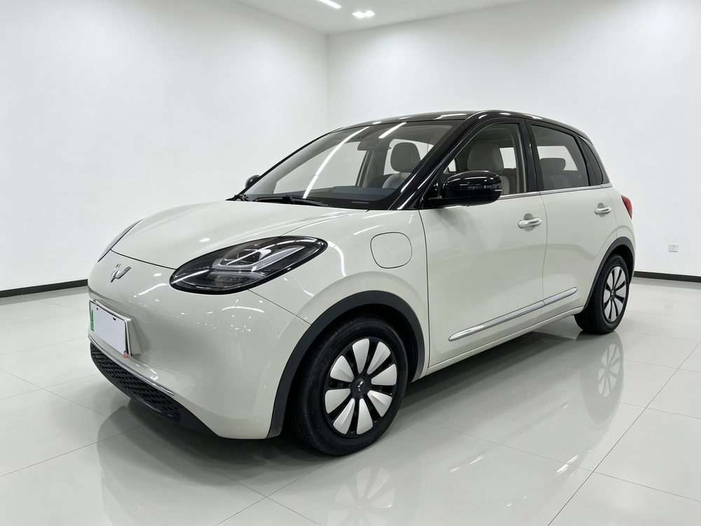 Wuling Wuling Bingo