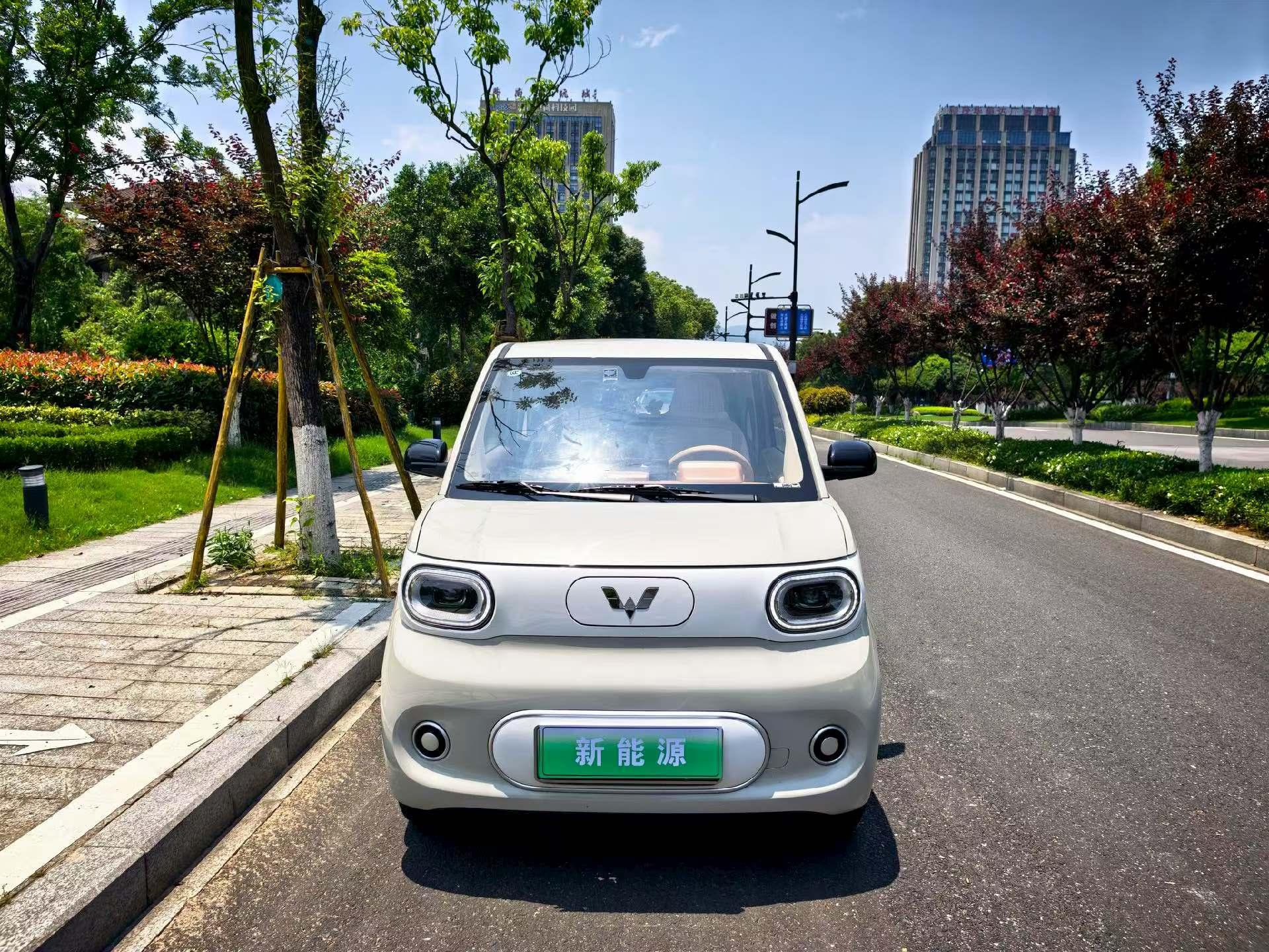 Wuling Wuling Hongguang MINIEV