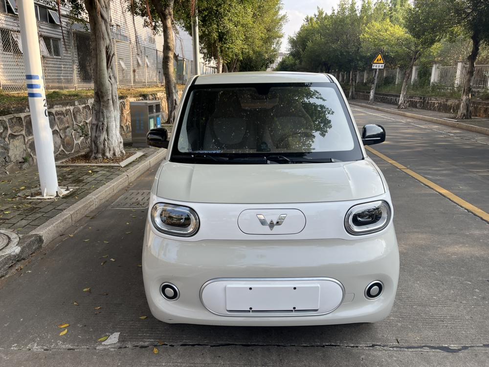 Wuling Wuling Hongguang MINIEV