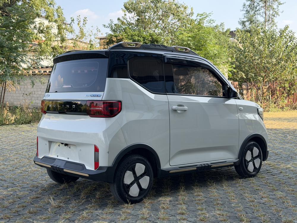Wuling Wuling Hongguang MINIEV