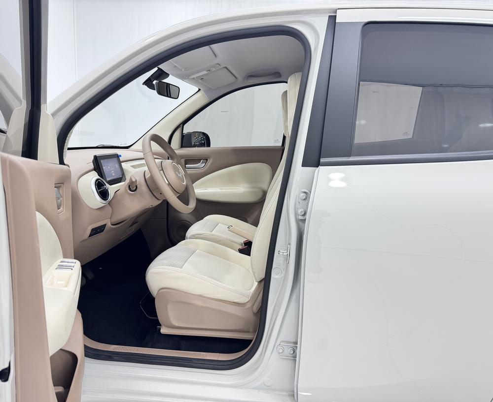 Wuling Wuling Hongguang MINIEV