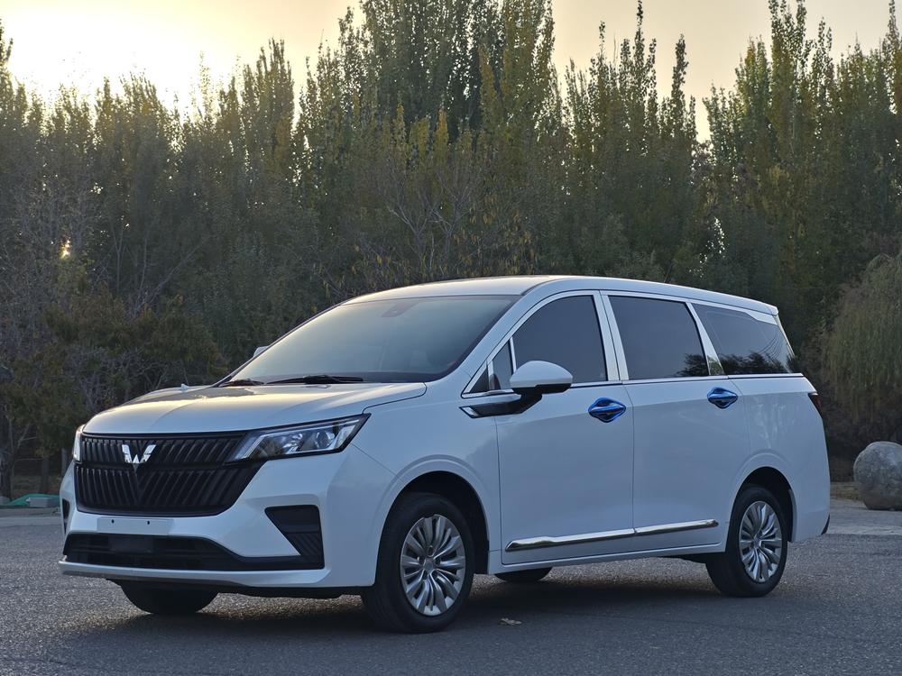 Wuling Wuling Jiachen