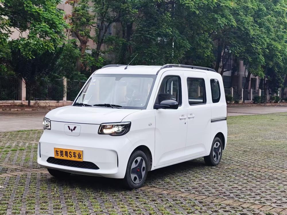 Wuling Wuling Zhiguang EV
