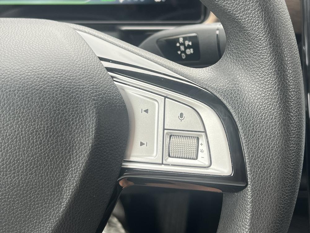XPeng XPeng P5