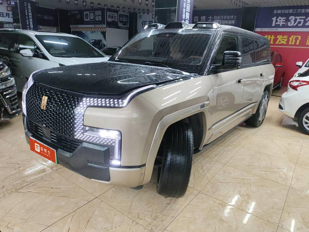 Yangwang Yangwang U8L