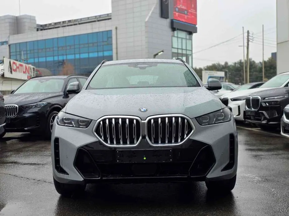 BMW X6