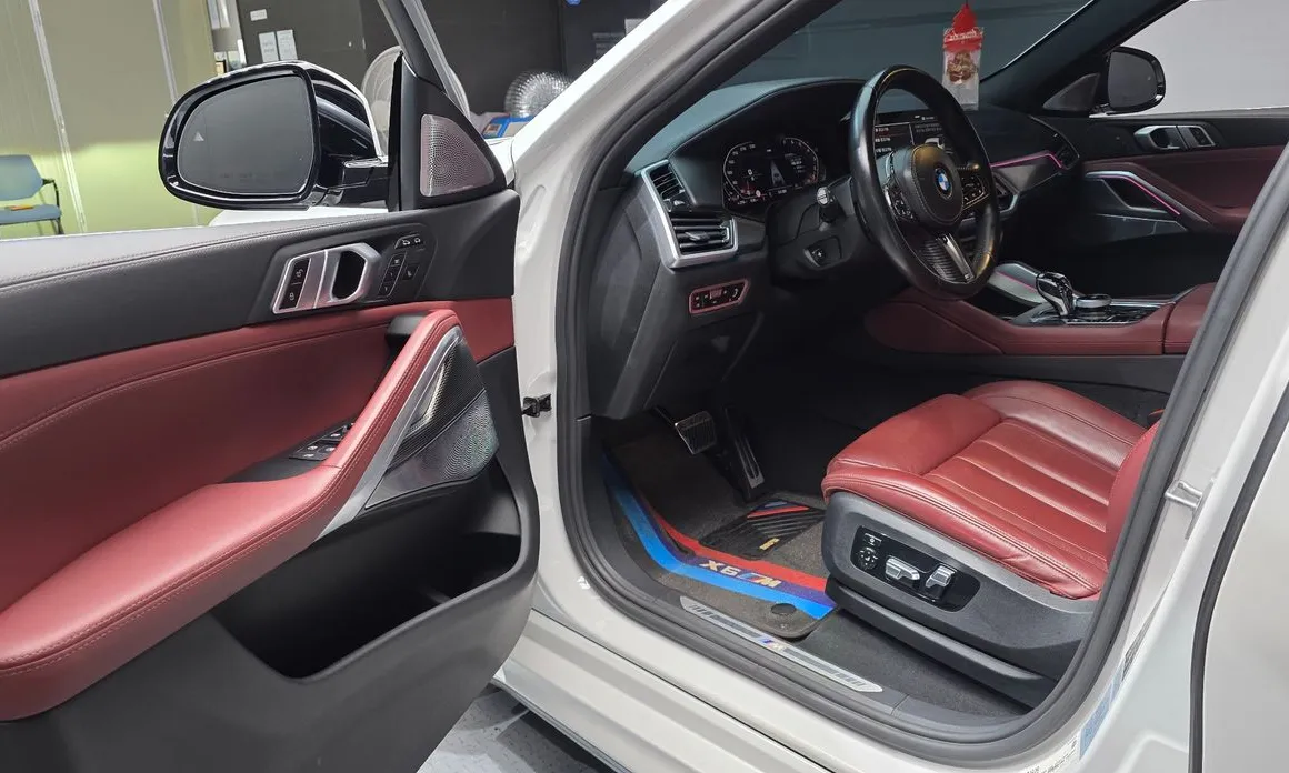 BMW X6