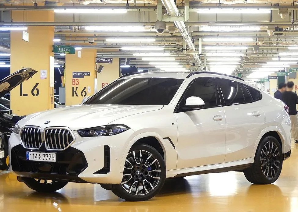 BMW X6