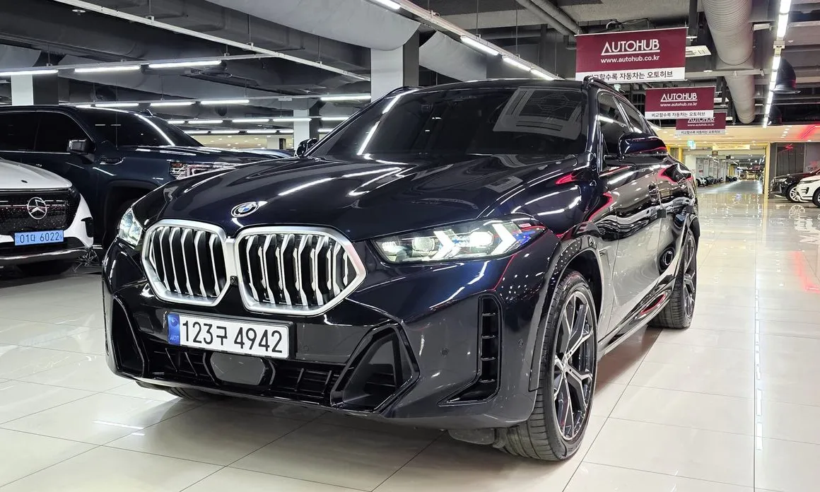 BMW X6