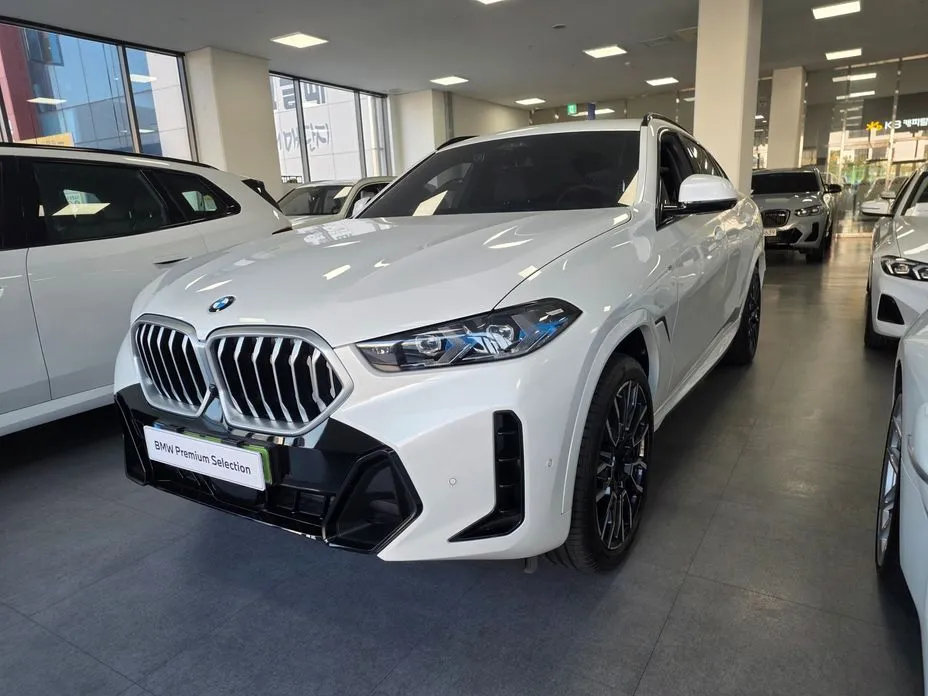 BMW X6