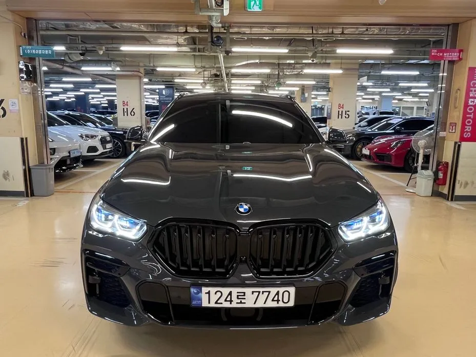 BMW X6