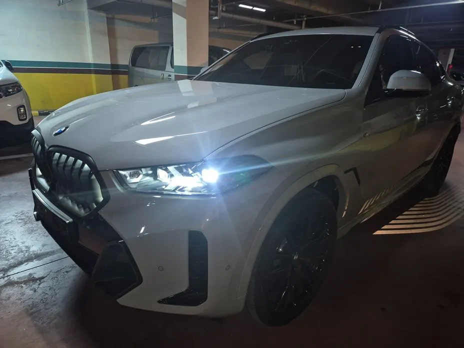 BMW X6