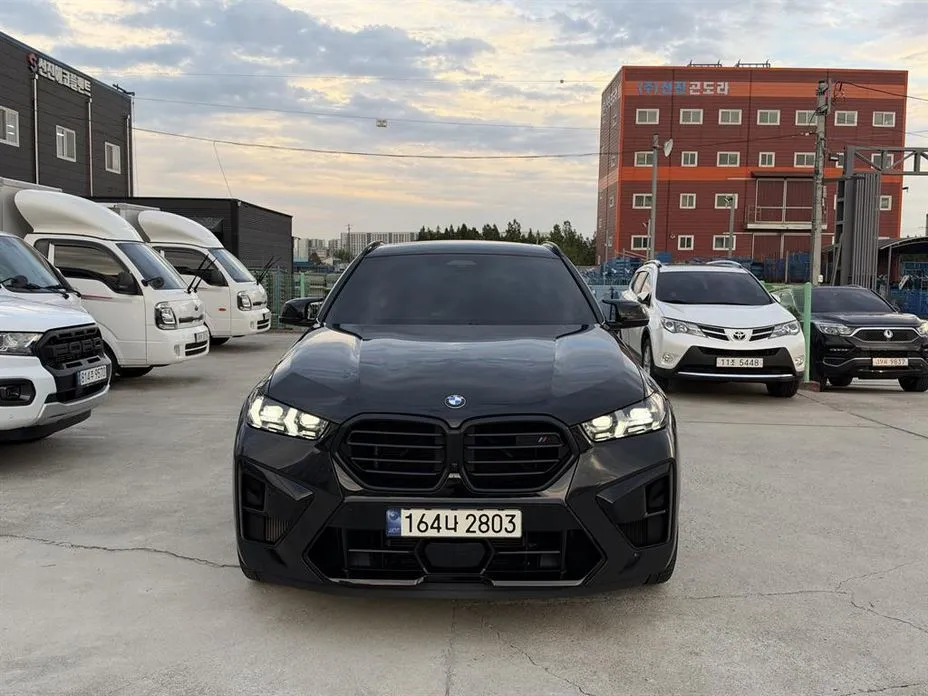 BMW X6M