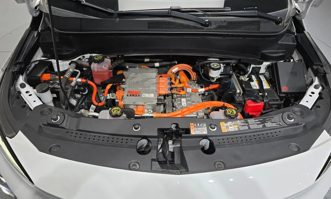 Chevrolet 볼트 EUV