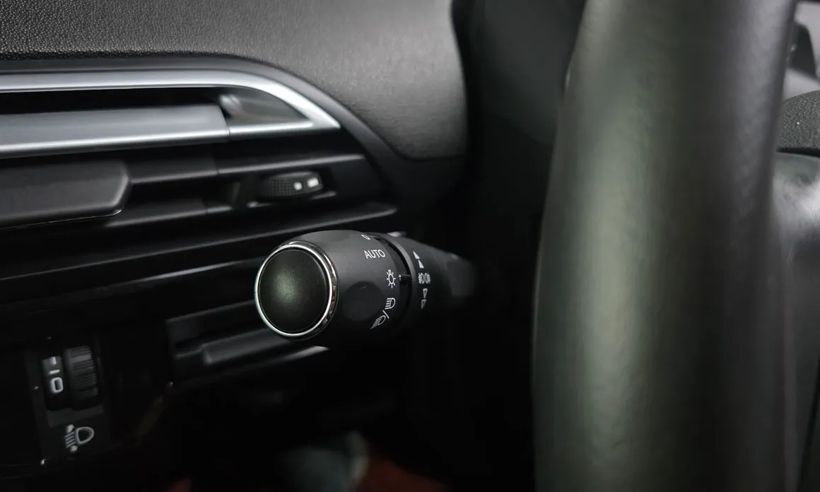 Citroen-DS C4 Picasso