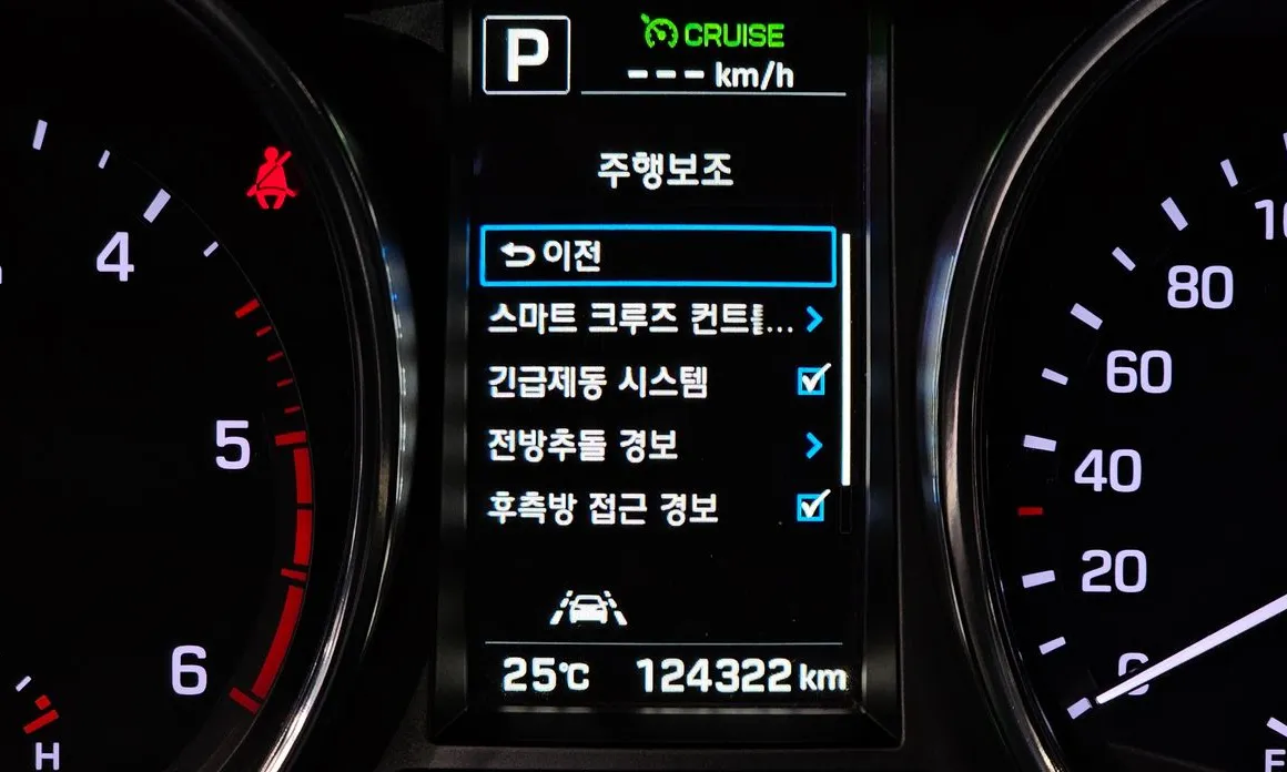 Hyundai Maxcruz