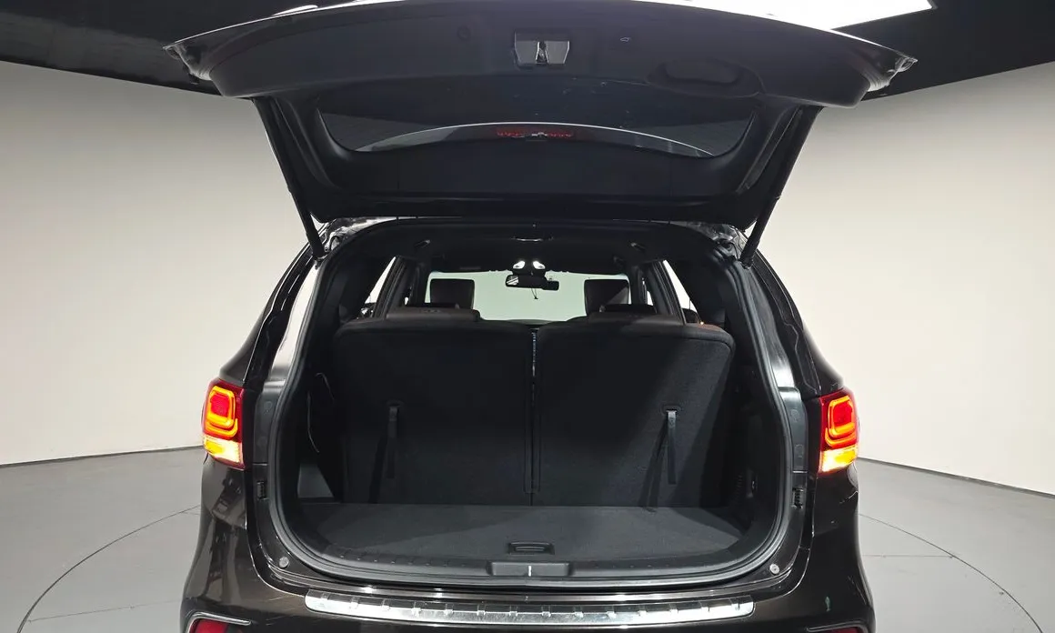 Hyundai Maxcruz