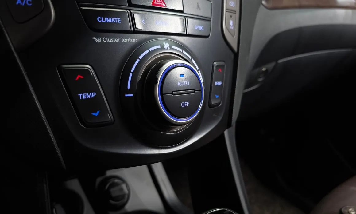 Hyundai Maxcruz