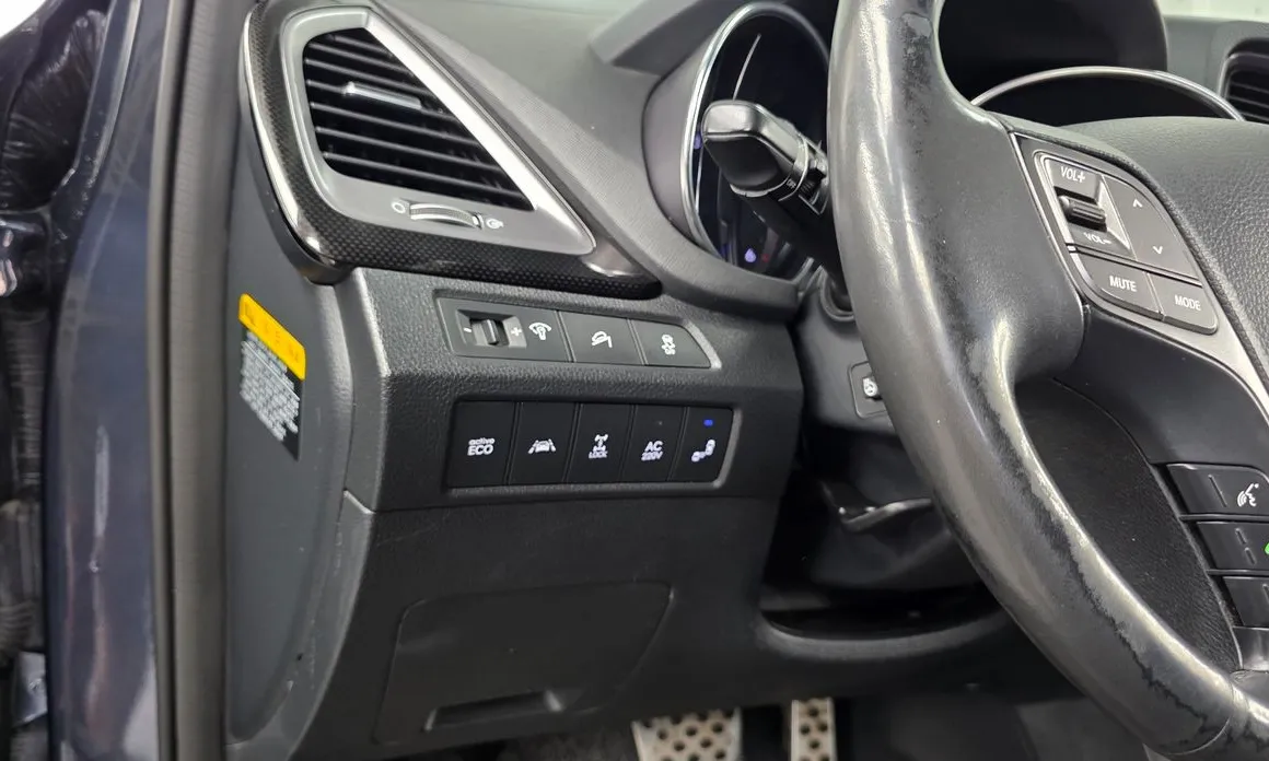 Hyundai Maxcruz