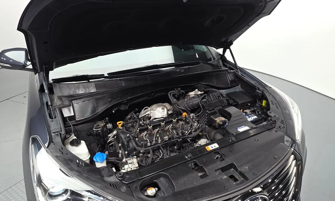 Hyundai Maxcruz