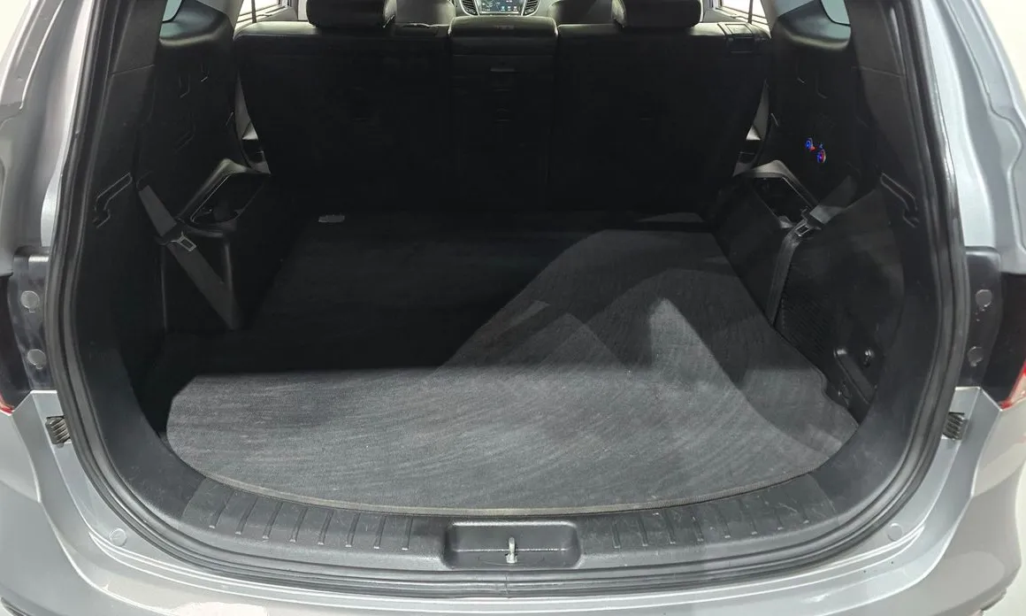 Hyundai Maxcruz