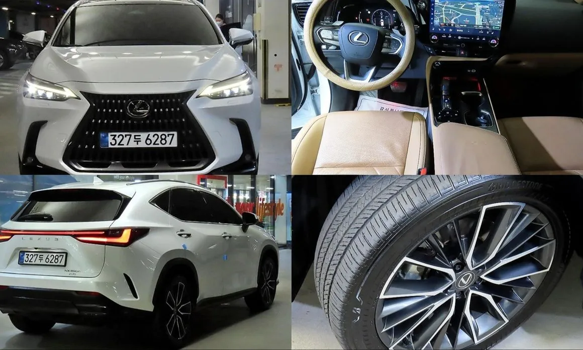 Lexus NX