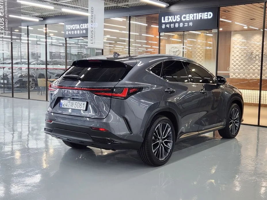 Lexus NX