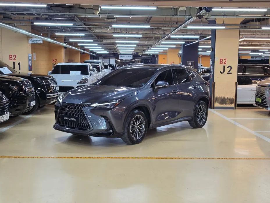 Lexus NX