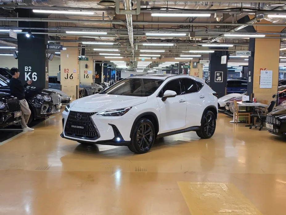 Lexus NX