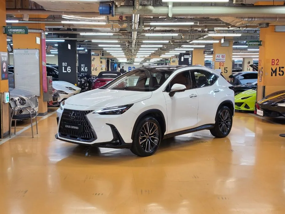 Lexus NX