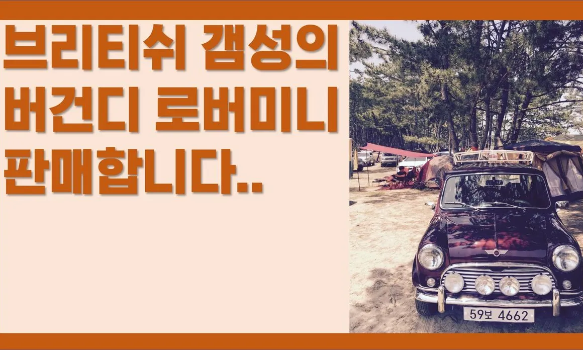 Mini Rover Mini