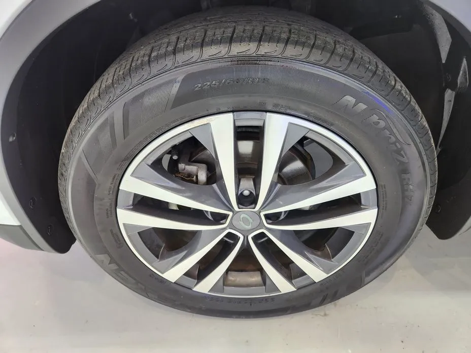 Renault QM6