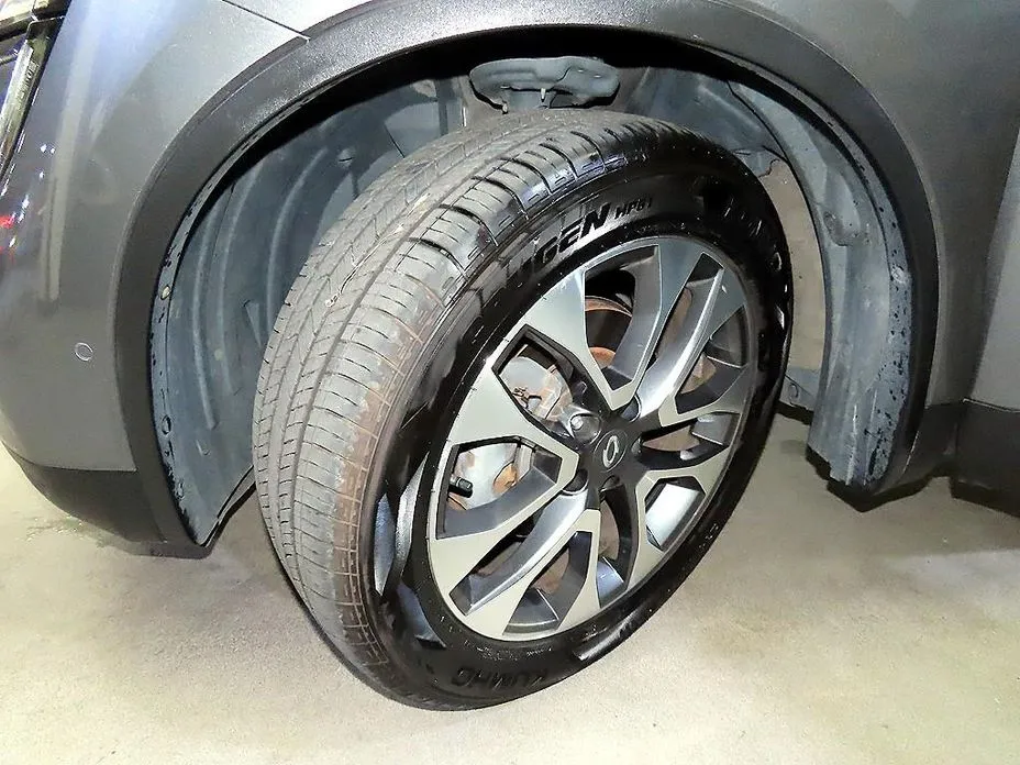 Renault QM6