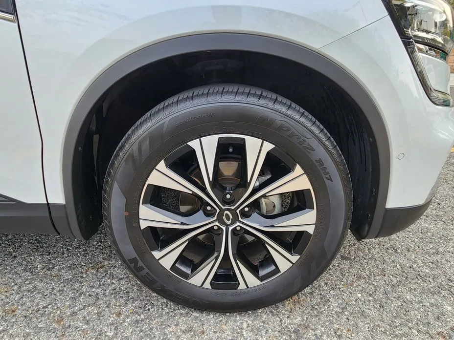 Renault QM6