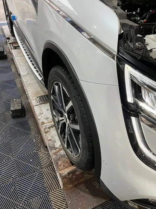 Renault QM6